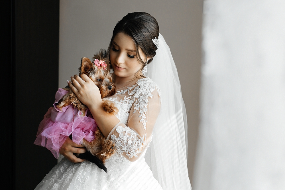 Luxury Wedding Dress Care